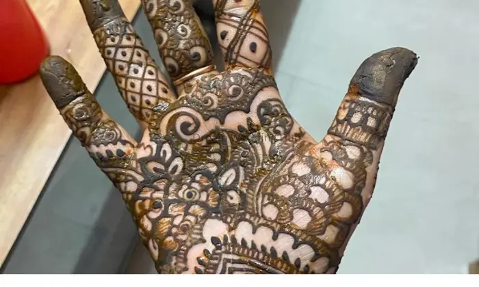 Sarah Mehandi artistry